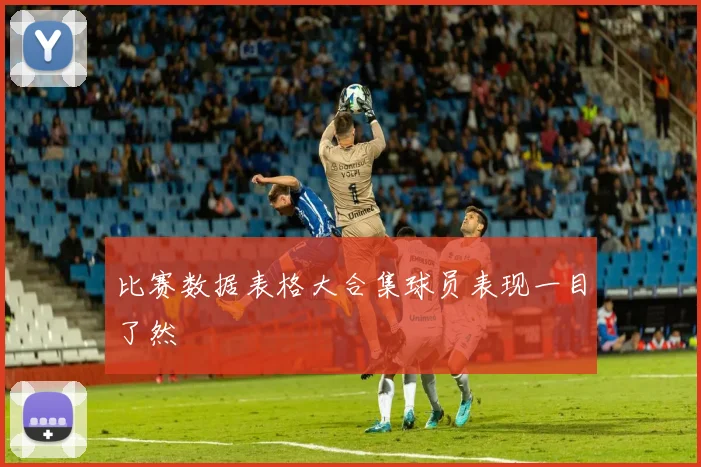 比赛数据表格大合集球员表现一目了然