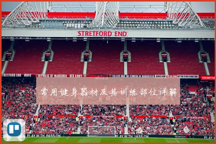 常用健身器材及其训练部位详解