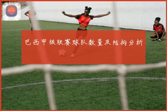 巴西甲级联赛球队数量及结构分析