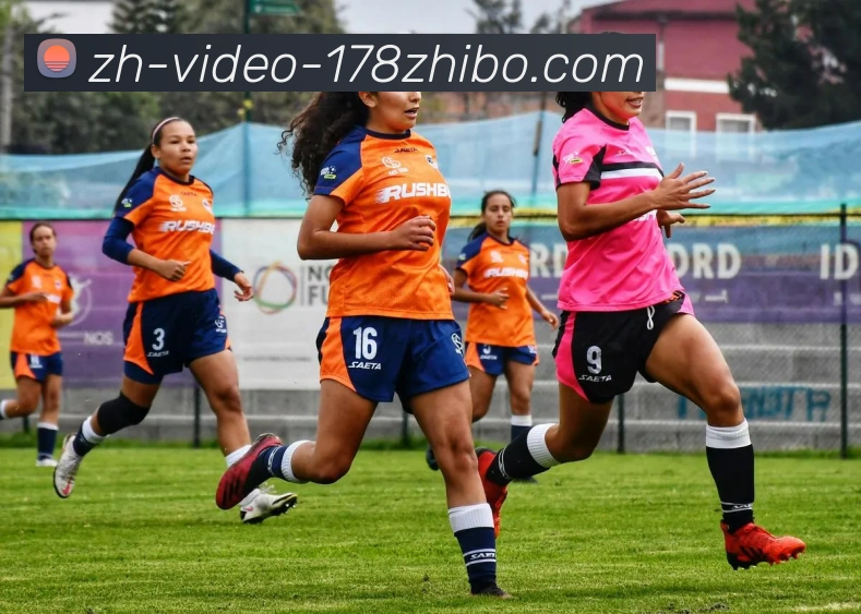 新英体育平台欧冠赛事直播内容及播出安排